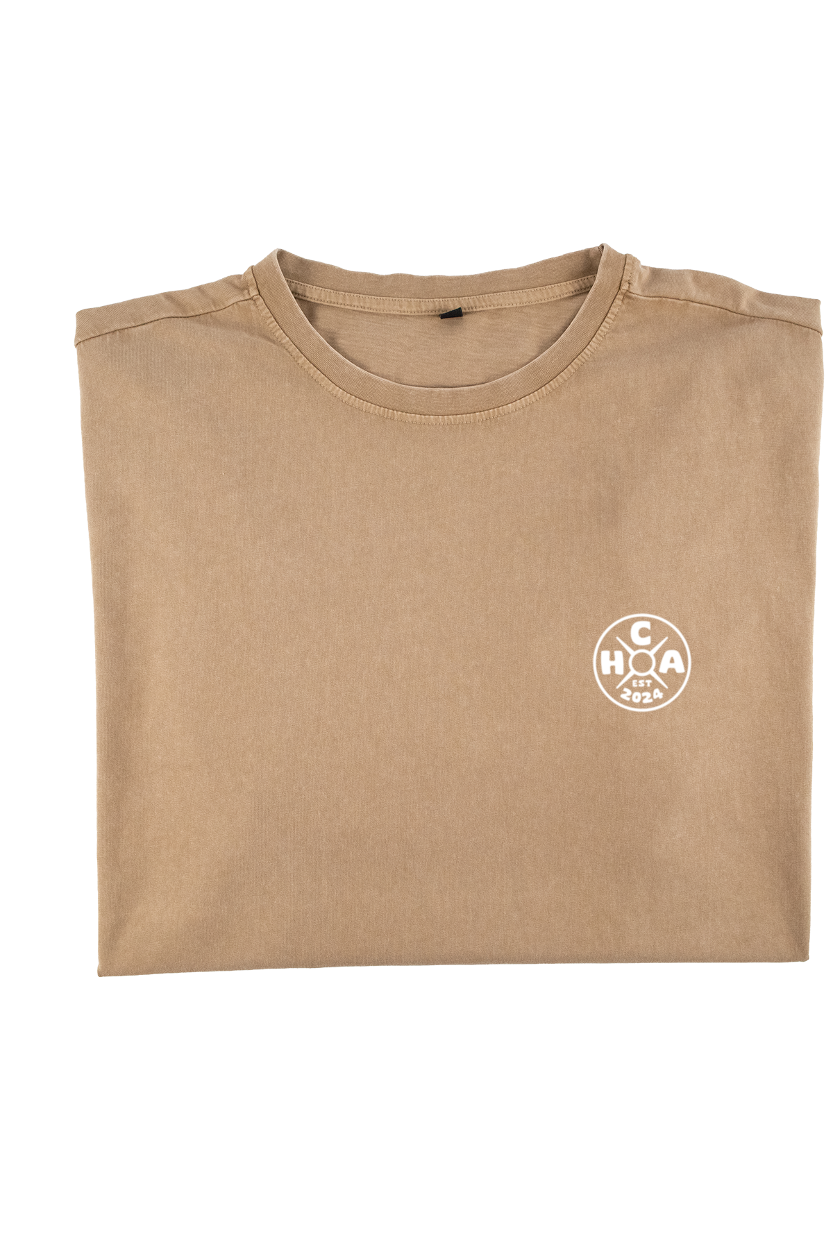 The Oversized Acid Wash Tee